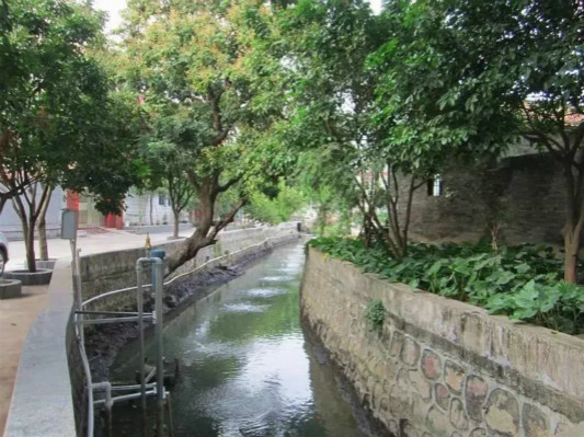 活化升级！顺德800年“桃花源”更美了