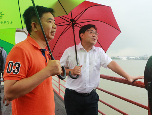 伦教：暴雨也不休，书记带队环保检查