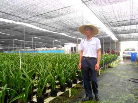 伦教退伍军人梁志新：走上兰花种植致富路