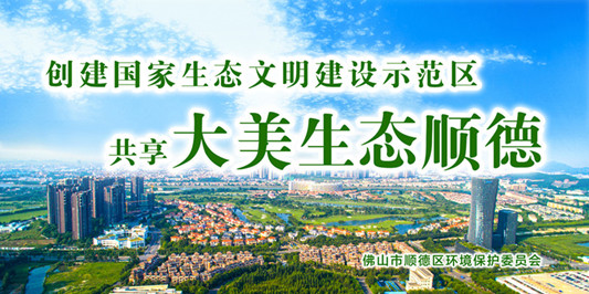 陈村镇迎中央环保督察“回头看”、市生态环境督察“双督察”系列