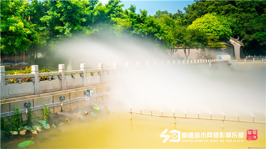 快看！一场大雾让顺峰山公园美成仙境！