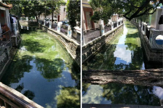 清淤注水！树生桥周边河涌水质变清啦