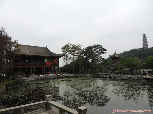 顺德网议：公园里开餐厅，你支持吗？