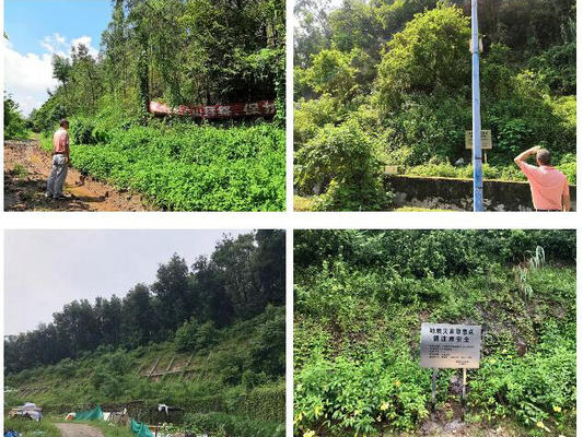 北滘：全面巡查14个地质灾害隐患点