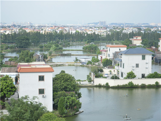 右眼：南沙，淹没在山、水、绿中的家