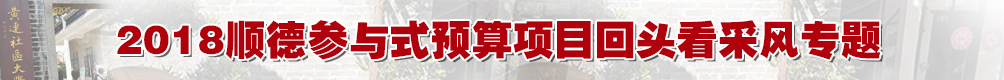 2018顺德参与式预算项目回头看采风活动专题_顺德城市网
