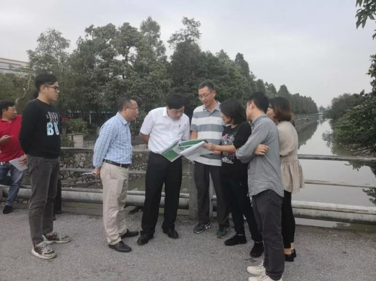 抓落实！要全力做好桂畔海水系综合整治工程