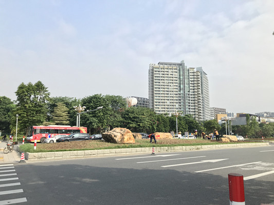 顺德网议：路边花草频繁更换，有必要吗？