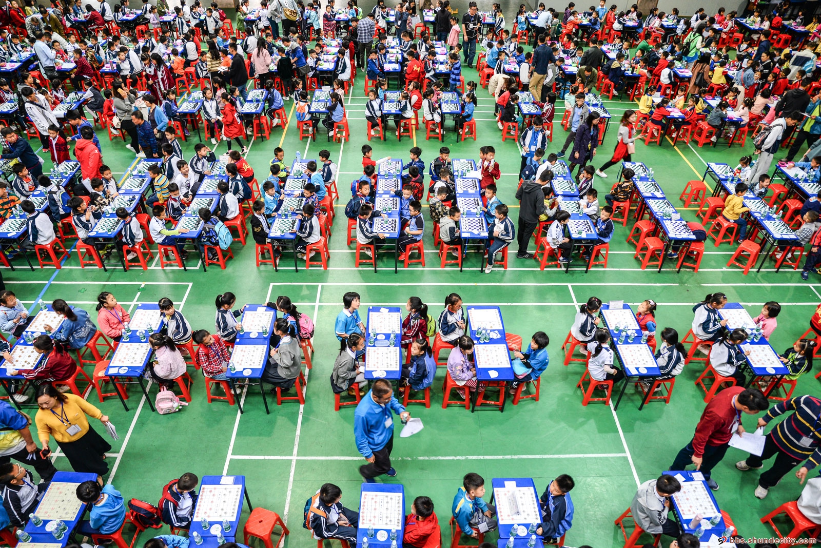 大良中小学三棋大赛