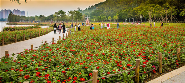 顺峰山公园繁花似锦