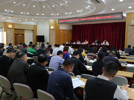 抓好党建，助力勒流改革发展再出发！