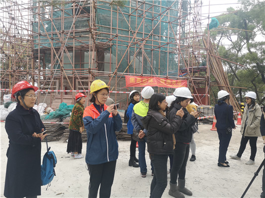 广泛征集听取意见，推动双塔修缮工作