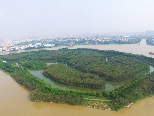 修复见成效！鲤鱼沙岛将打造生态旅游点