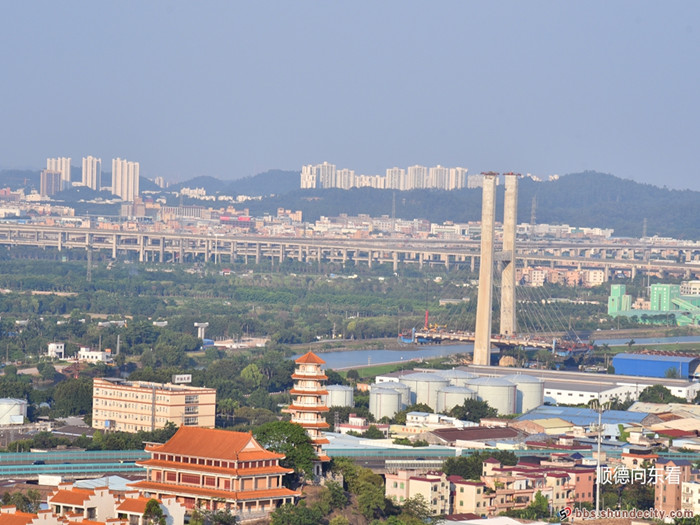顺德网议：叫海华大桥还是番顺大桥好？