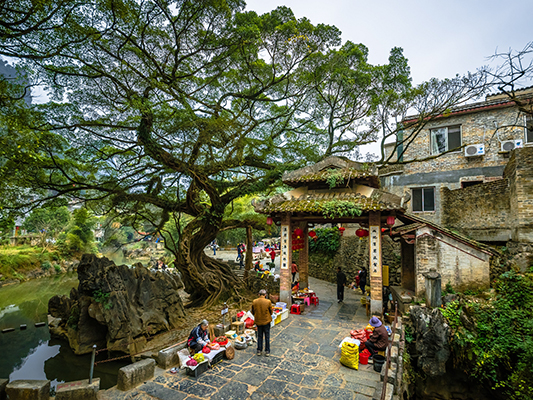 壹周美图：留住你我眼中的斑斓万色