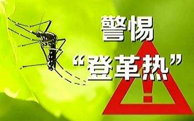 预防登革热，这些知识大家要知道！