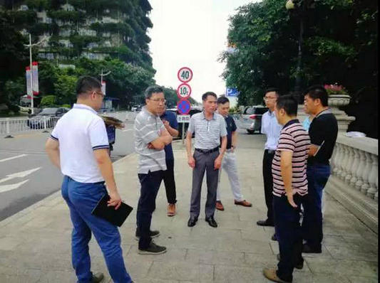 区河长办、区环委会督查北滘灰口大涌水质情况。.jpg