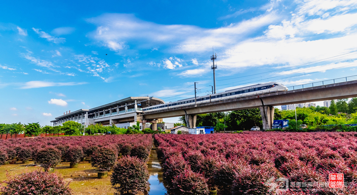 壹周美图：列车横空飞驰，更显风光无限
