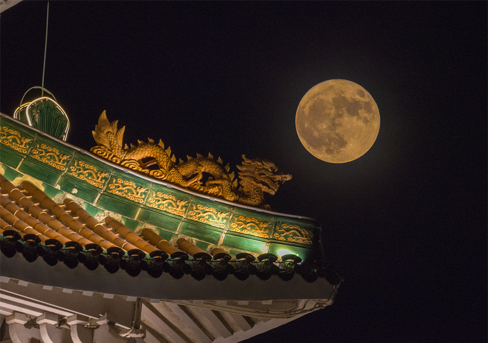 壹周美图：花好月圆夜，共享团圆之乐