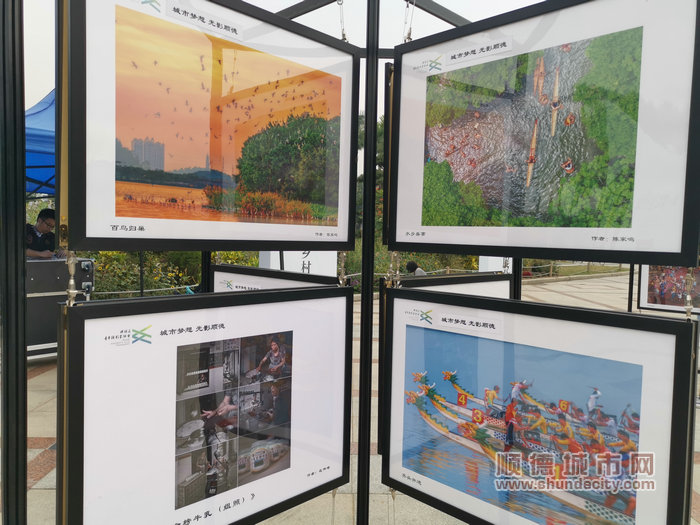 摄影展从高质量发展、美丽乡村建设、人民群众的幸福生活等多方体现了顺德大发展、大融合的城市形象。_副本_副本.jpg