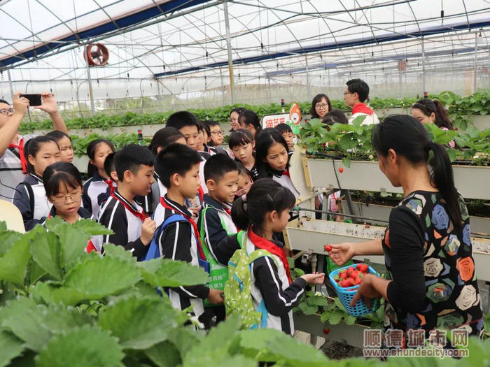（图四）在户外课堂，学生们能够学到更多环保知识。.jpg