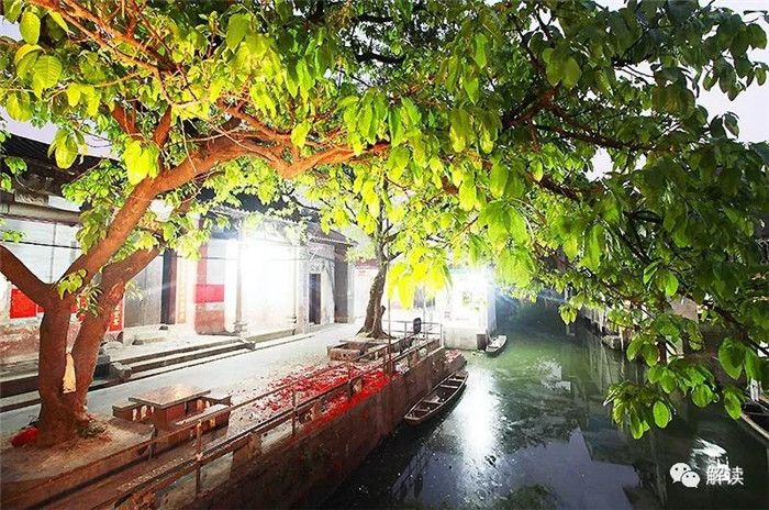 白天是城市，晚归是乡下，小巷里的顺德日常