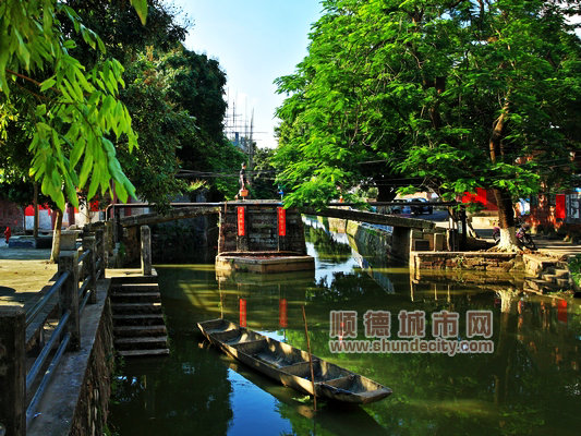 1.网友陈钊洪.jpg