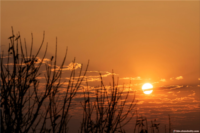 渔歌唱晚 芳草夕阳