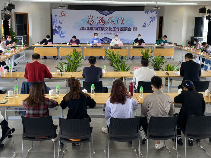 龙江：高规格举办座谈会，文体事业发展迎春风