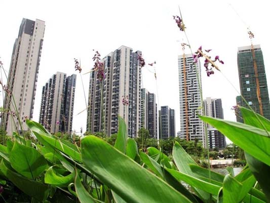 陈村：营造和谐环境，综治维稳全区考评第一