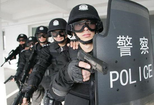 警察与人口比例_中国人口结构比例图(3)