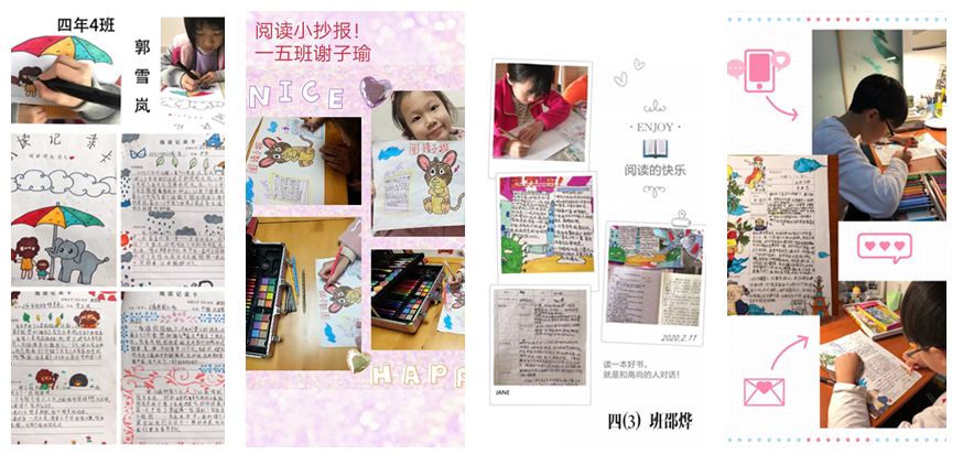 图片5_副本.png
