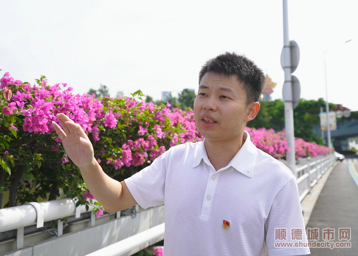 桥梁绿化项目成为顺德交通路网的一道靓丽风景线.jpg