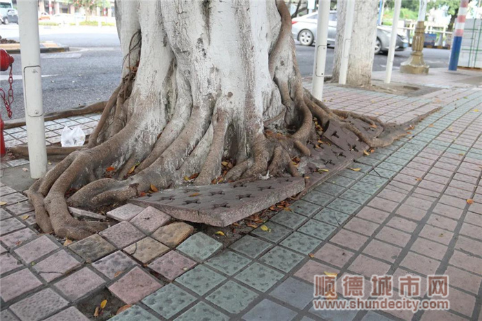 微信图片_20210624145542_副本.jpg