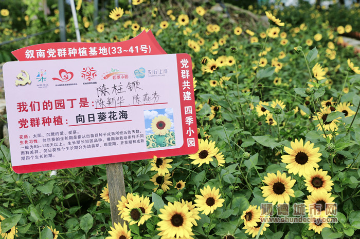 _24A1001_副本.jpg