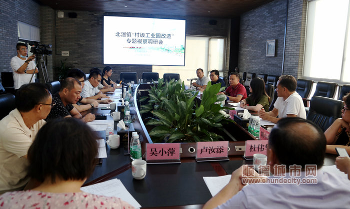 人大代表座谈会 (26)_副本.JPG