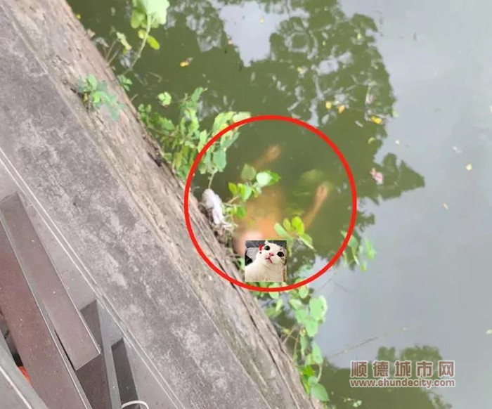 男子跌路河涌_副本.jpg