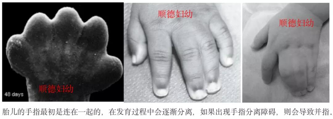 微信图片_20210909094108.jpg