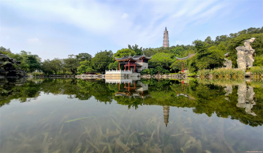 秋日的公园处处是美景