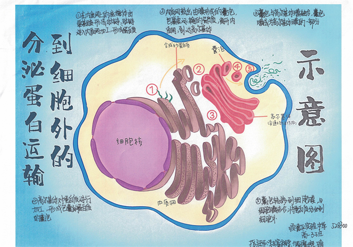图片7 - 副本.png