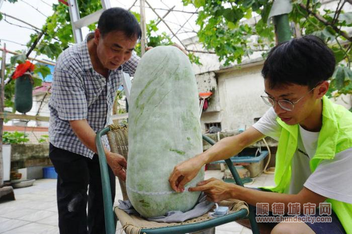 村民参与冬瓜种植评选活动.jpg