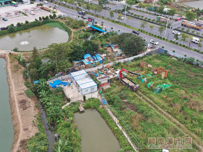 伦教违建（构）筑物所在地正在进行拆除作业.jpg