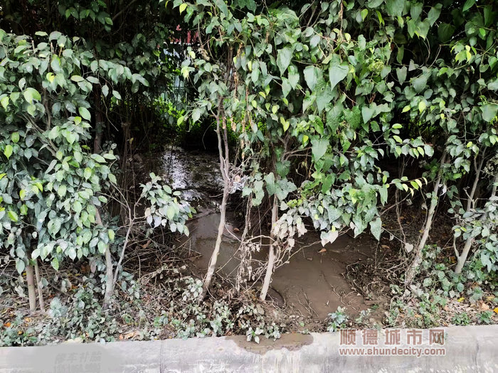 微信图片_20211124195230.jpg