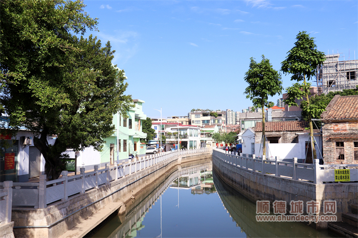 田心河水清了，两岸建筑焕然一新 （摄影俱乐部摄）.jpg