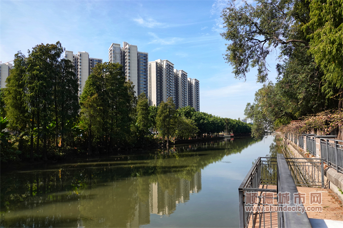 伦教羊大路河涌，碧波荡漾。（顺德城市网摄影俱乐部Suyan摄）.jpg