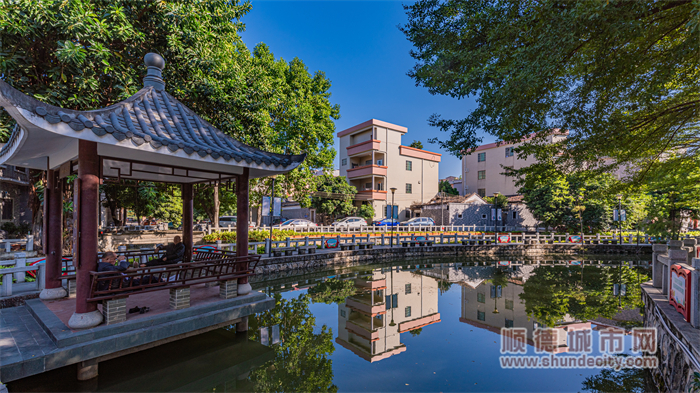 仙涌村持续优化水环境，扮靓美丽村居。（顺德城市网摄影俱乐部“马彦良”）.jpg