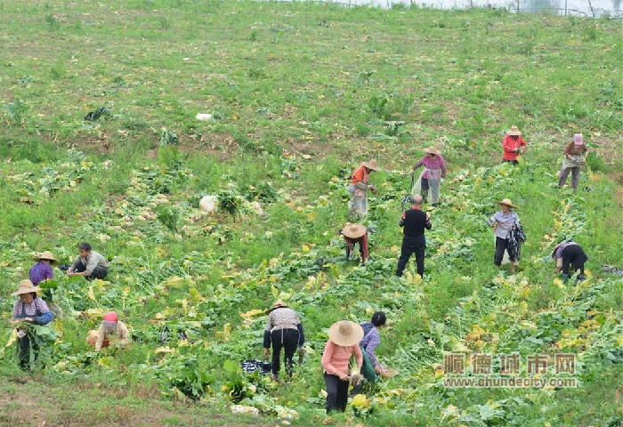 微信图片_20220124220945_副本.jpg
