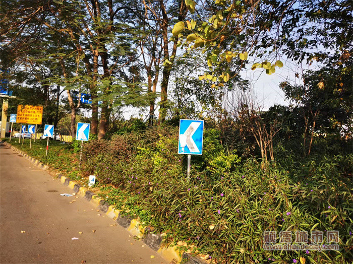 碧桂路转三乐路节点绿化景观提升（改造前）_副本.jpg
