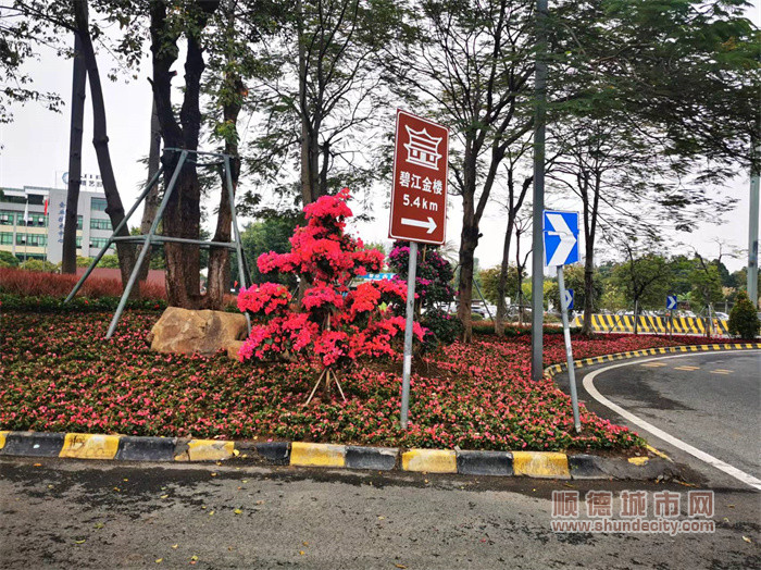 碧桂路转三乐路节点绿化景观提升（改造后）_副本.jpg