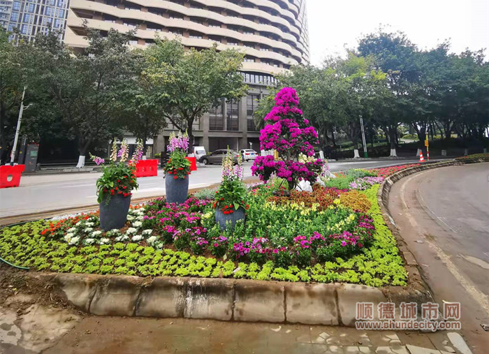 微信图片_20220126210146_副本.jpg